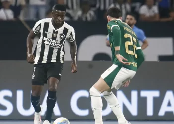 Botafogo recebe Palmeiras no primeiro jogo das oitavas da Libertadores