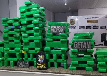 Operação Conjunta Apreende 132 tabletes de maconha no agreste de Sergipe