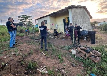 Operação em Sergipe investiga uso excessivo de herbicidas que causam riscos à saúde pública e morte de animais