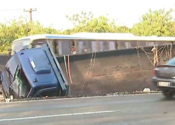 Caminhão atropela cavalo solto na BR 235 e depois colide em poste