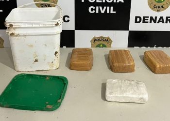 Denarc apreende 4kg de drogas em terreno baldio em Aracaju