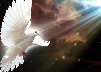 Preguei a justiça na grande congregação; eis que não retive os meus lábios, Senhor, tu o sabes