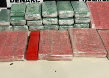 Denarc atinge marca de uma tonelada de maconha apreendida em Sergipe