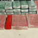 Denarc atinge marca de uma tonelada de maconha apreendida em Sergipe