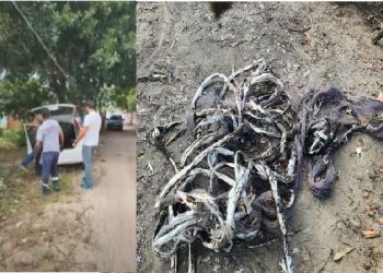 Candidato a vereador por São Cristovão é preso suspeito de furtar cabos telefônicos