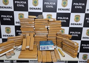 Denarc apreende 82kg de maconha em Aracaju e prende suspeito de tráfico
