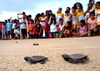 MPF firma acordos com condomínios para garantir cumprimento da legislação ambiental