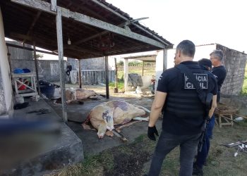 Abatedouro Clandestino é Fechado em Propriá, suspeito é preso