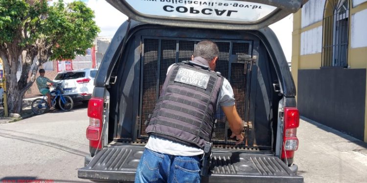 Mulher é presa em Sergipe com diploma falso de médica da PUC de São Paulo