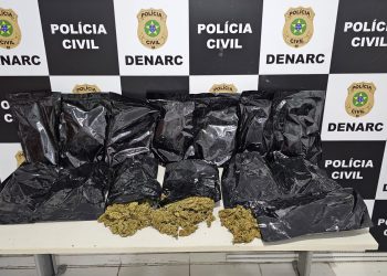 Polícia apreende 7kg de ‘flor de Cannabis’