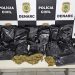 Polícia apreende 7kg de ‘flor de Cannabis’