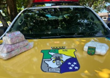 Polícia apreende drogas em ônibus interestadual na SE-100, em Aracaju