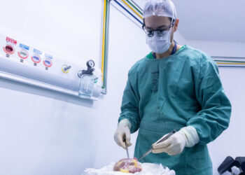 Sergipe registra aumento de 61% no registro de doadores de órgãos em 2024