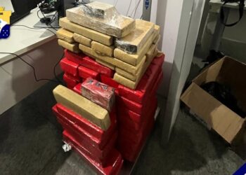 Polícia apreende 99 quilos de maconha em Nossa Senhora do Socorro, suspeitos fogem