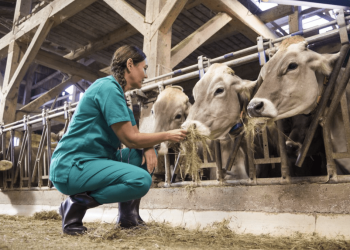 Aracaju será sede do XVIII Congresso Nordestino de Produção Animal