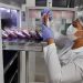 Hemose registra mais de 24 mil doações de sangue em dez meses