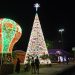 Aracaju inicia Natal Iluminado com decoração recorde e aprovação popular