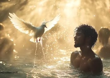 Vinde a mim, todos os que estais cansados e oprimidos, e eu vos aliviarei.