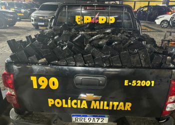 Polícia apreende 580kg de maconha em operação em Aracaju