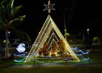 Natal Iluminado transforma Parque da Sementeira em espetáculo de luzes