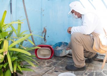 Sergipe tem três municípios com alto risco de infestação do Aedes aegypti