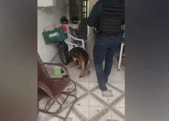 Operação Escola Segura combate tráfico de drogas próximo a escolas em Aracaju