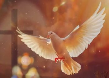 Clame por DEUS que ele te ouvirá