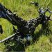 Polícia localiza motocicleta roubada no Bairro Aruana, em Aracaju