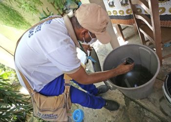 Prefeitura de Aracaju reforça alerta contra o Aedes aegypti durante as férias