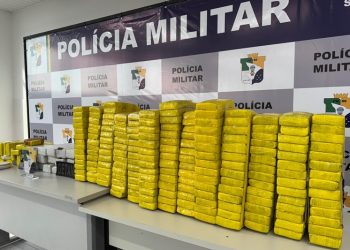 Getam apreende 150 kg de maconha na Zona Norte de Aracaju