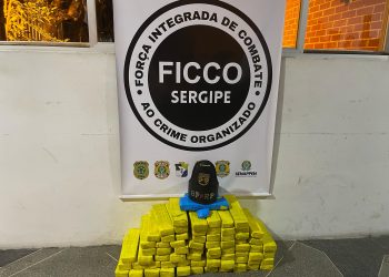 Polícia apreende 41 kg de maconha e prende suspeito em rodovia de Sergipe
