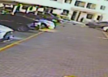 Morador e funcionária de condomínio são indiciados por maus-tratos a gato em Aracaju