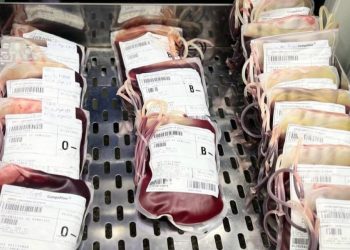 Hemose convoca doadores de sangue com fator Rh negativo para reforçar estoques