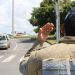 Prefeitura de Aracaju realiza 40ª Corrida Cidade de Aracaju