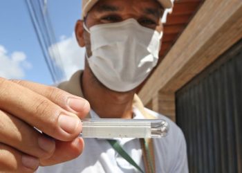 Aracaju reforça combate ao Aedes aegypti após LIRAa apontar risco médio de infestação
