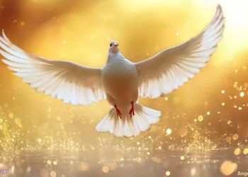 A  palavra de DEUS para os pastores :