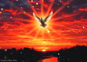 Disse-lhe Jesus: Não te tenho dito que, se creres, verás a glória de Deus?