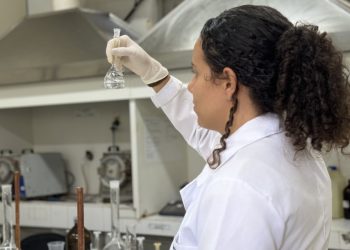 ITPS recomenda análise foliar para garantir qualidade do milho no período junino