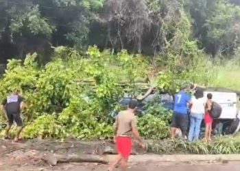 Micro-ônibus capota na BR101 em Sergipe e 11 pessoas ficam feridas