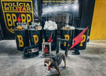 Polícia fecha laboratório de drogas e apreende 27 kg de entorpecentes em Aracaju