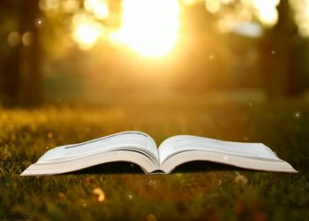 A palavra de Deus é clara e reta é só obedecermos que veremos e teremos tudo.