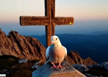 Confia no Senhor de todo o teu coração, e não te estribes no teu próprio entendimento.