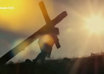 O Senhor é o que tira a vida e a dá; faz descer à sepultura e faz tornar a subir dela.