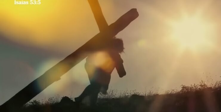 O Senhor é o que tira a vida e a dá; faz descer à sepultura e faz tornar a subir dela.