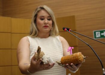 Kitty Lima denuncia venda ilegal de fogos de artifício e cobra fiscalização