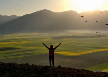 E Jesus lhe disse: Vê; a tua fé te salvou.