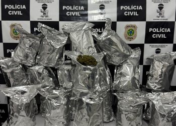 Polícia apreende 22 kg de “flor da maconha” avaliados em R$ 300 mil em Japoatã