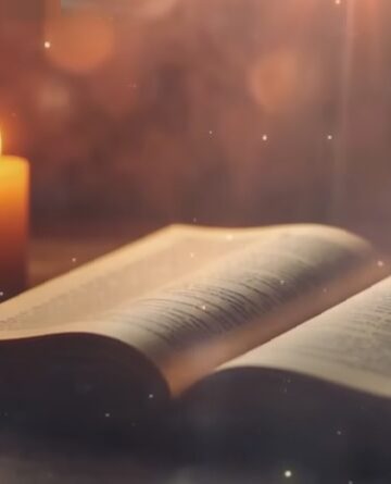 O coração do homem planeja o seu caminho, mas o Senhor lhe dirige os passos.