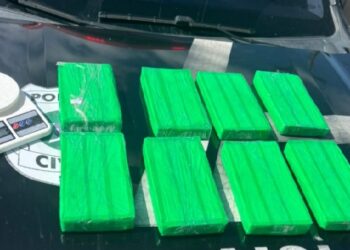 Polícia Civil apreende 8 kg de cocaína na cidade de Lagarto