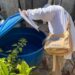 Infestação do Aedes aegypti cresce em Aracaju e preocupa autoridades de saúde
